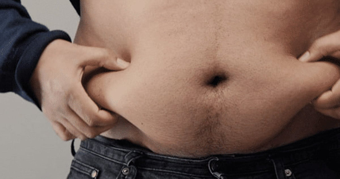 why is abdominal fat so dangerousat so dangerous