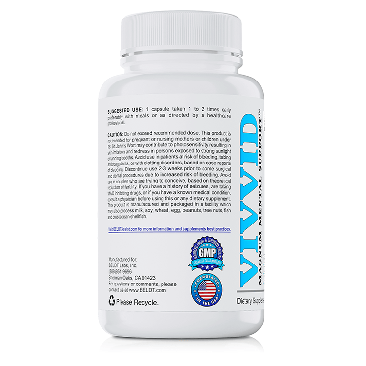 VIVVID: MAGNUM MENTAL SUPPORT